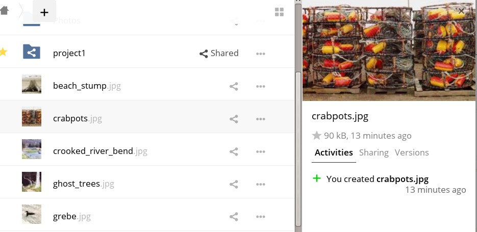 Activity View